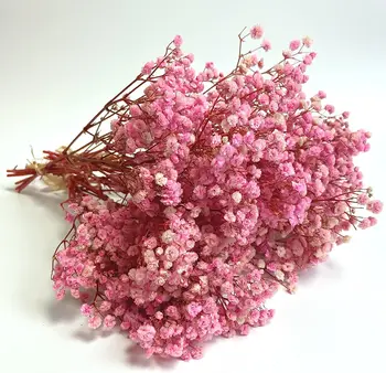 Дълготраен светло розов дъх на бебето Сухи цветя - Перфектен за сватби, домашен декор и ваканционни занаяти, луксозен дом decorlu